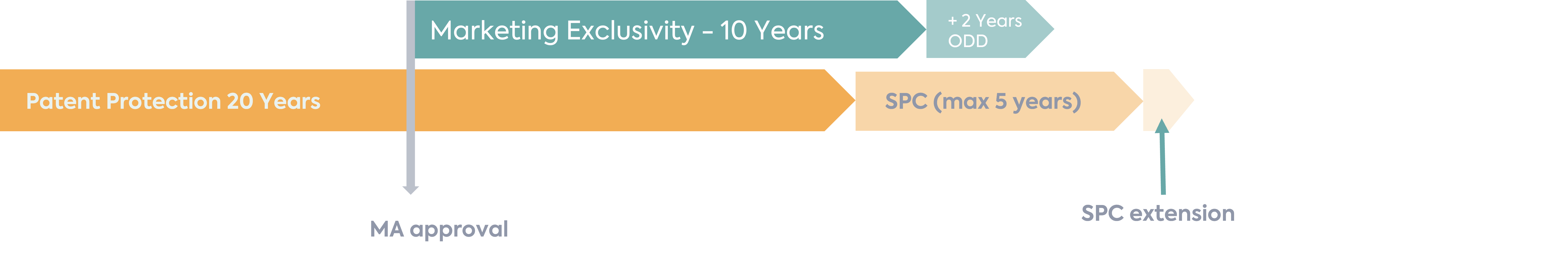 Navigating EU Paediatric Investigation Plan (PIP) Regulations & Incentives: Example of Orphan vs Non-Orphan Paediatric Protection